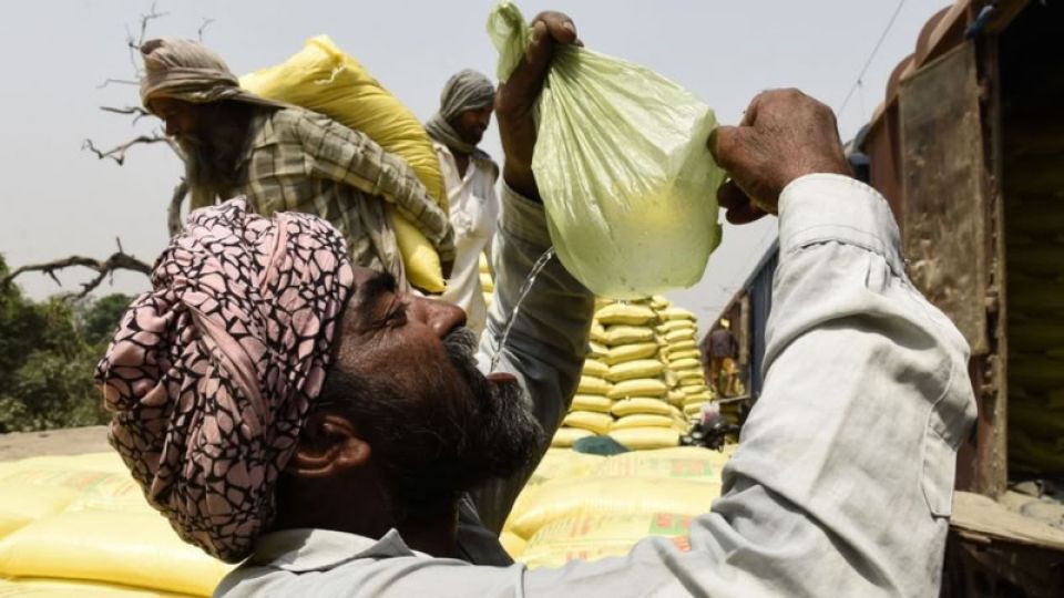 أزمة المناخ تتعمق