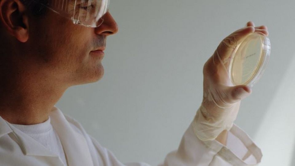 أخبار العلم