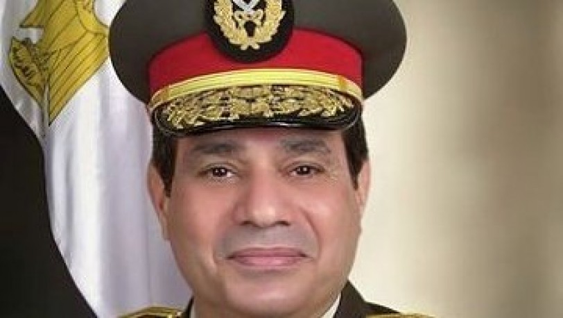 السيسي: لايمكنني تجاهل مطالبة الغالبية لي بالترشح للرئاسة