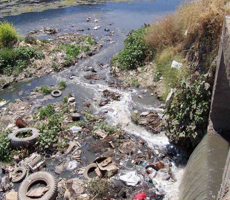 لم يبق سوى لفافة التبغ والمنديل الورقي حتى نقضي على التلوث البيئي