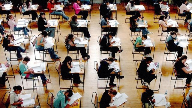 بين قوسين:  مملكة نمل الكتابة