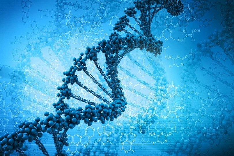 تحولات عشوائية في الجينات تسبب معظم حالات الإصابة بالسرطان