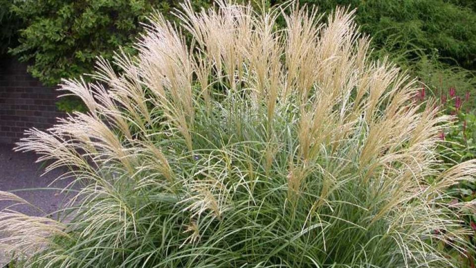 أخبار العلم