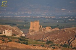 التوتر يسود محيط محردة