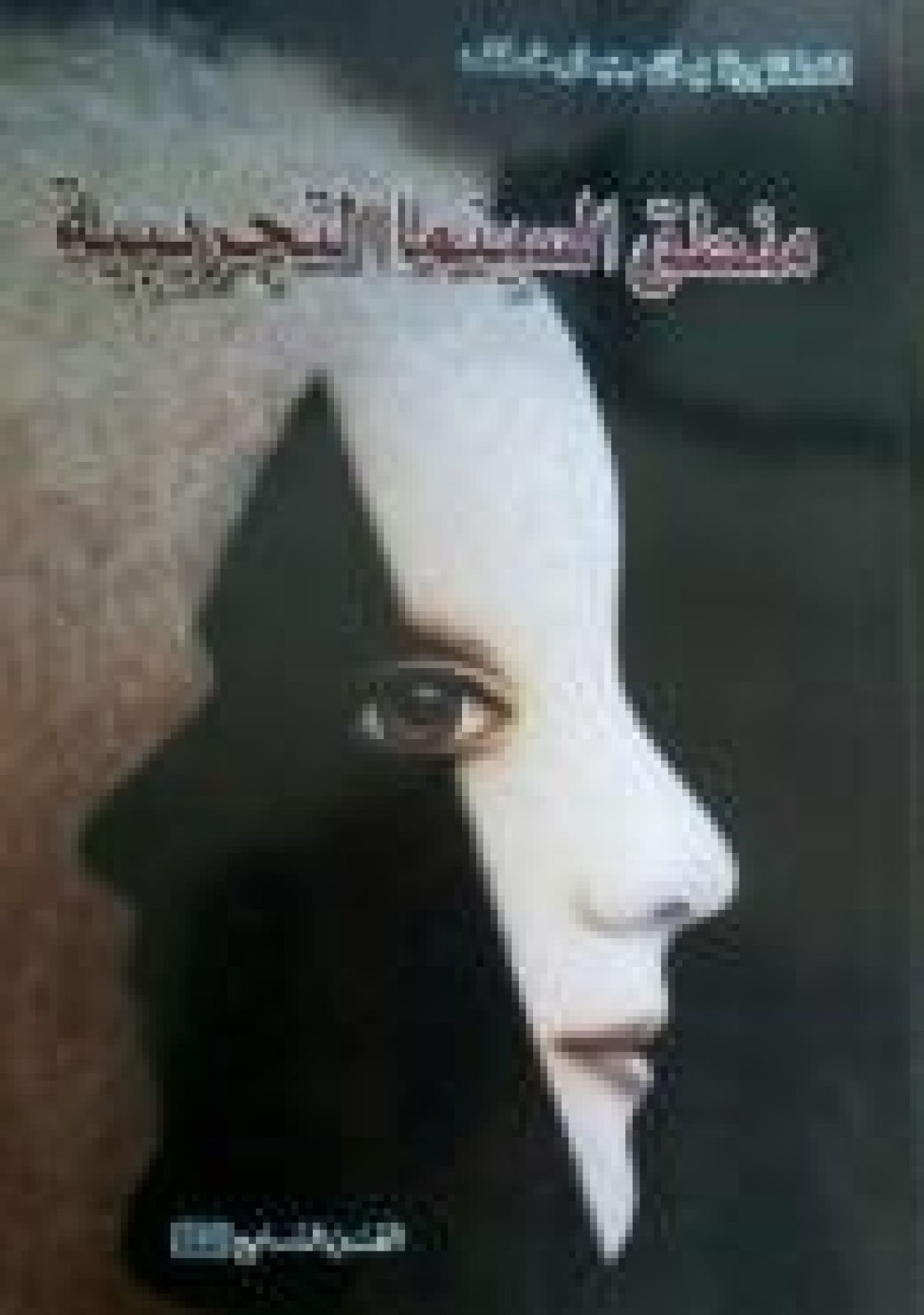 منطق السينما التجريبية