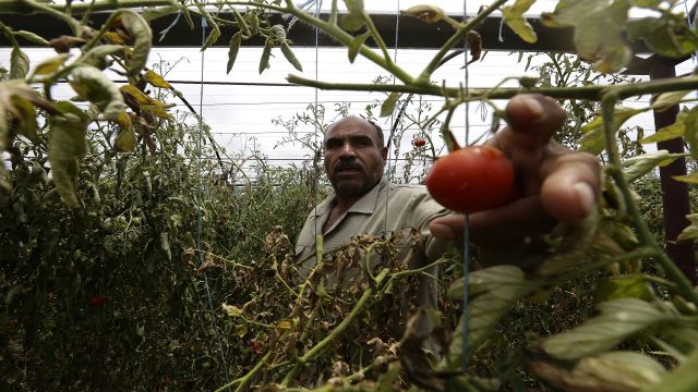 قرارات وتوصيات.. بجانبها الأسود