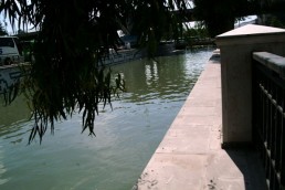 ليّ ذراع الكارثة