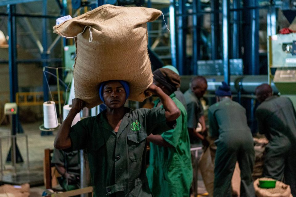 طرح &laquo;مهزوم&raquo; لعقل &laquo;مأزوم&raquo;