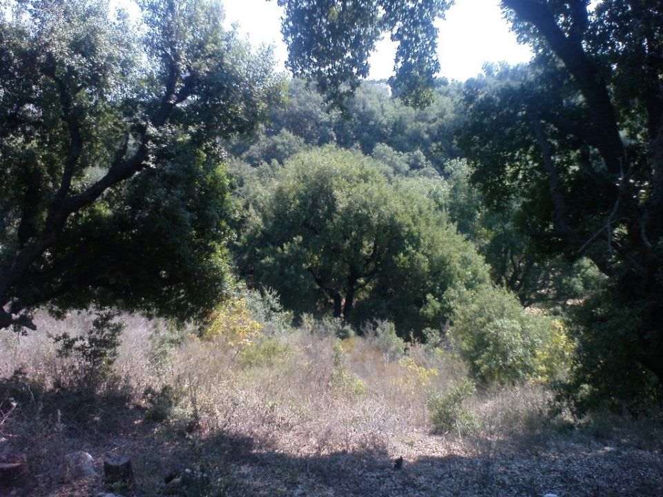 وجدتها: الخروج من الدروج