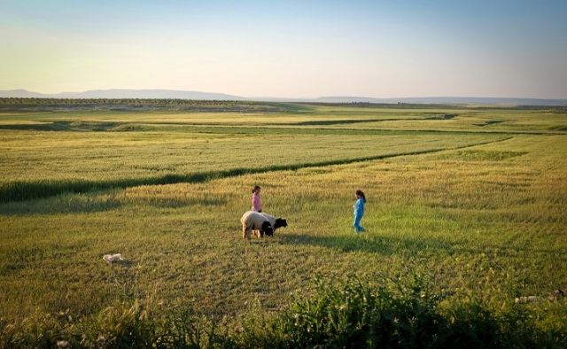 الريف السوري فقد 30% من سكانه ونصف المقيمين في 2011 غادروا منازلهم!