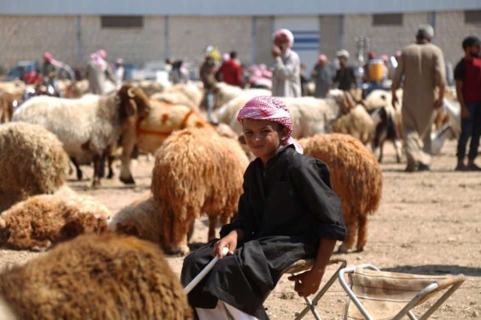 غنم العواس يُصدّر والمواطن السوري يُحرم... من يحمي ثروتنا الوطنية؟