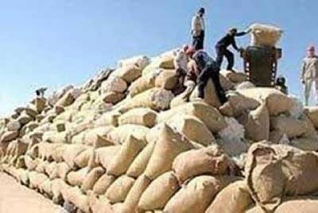 عمال محالج إدلب في ذمة المسؤولين