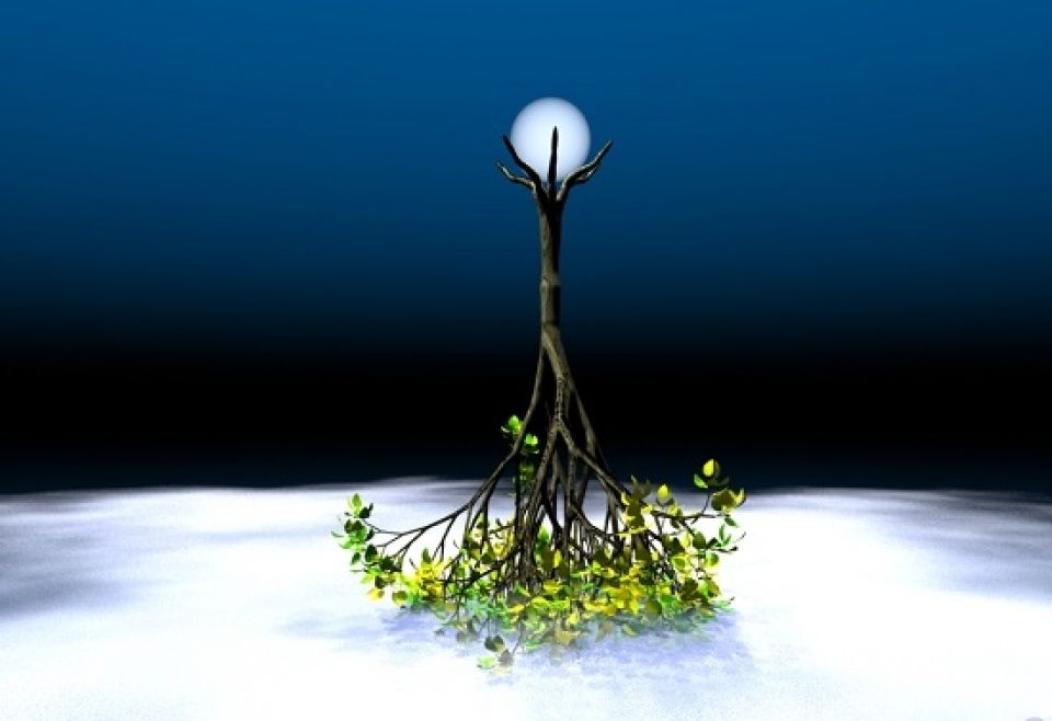 الشجرة منكوسة