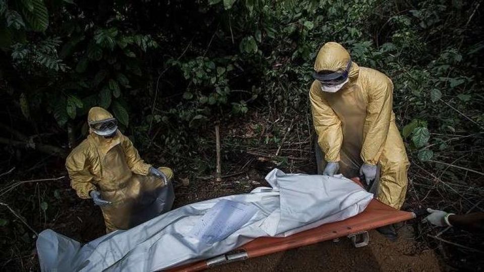 مرض قاتل ينتشر بسرعة في الساحل الغربي لأفريقيا