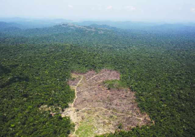 قطع أشجار الأمازون يبلغ أعلى مستوياته