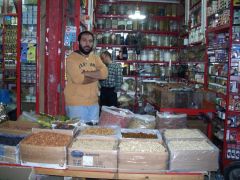 الهندباء المقدسة..