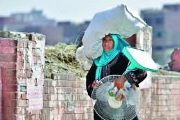 66 حالة وفاة بسبب الحر في مصر