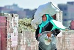 66 حالة وفاة بسبب الحر في مصر