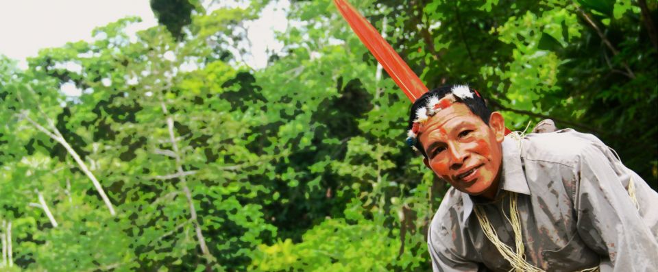 هنا كانت توجد أدغال