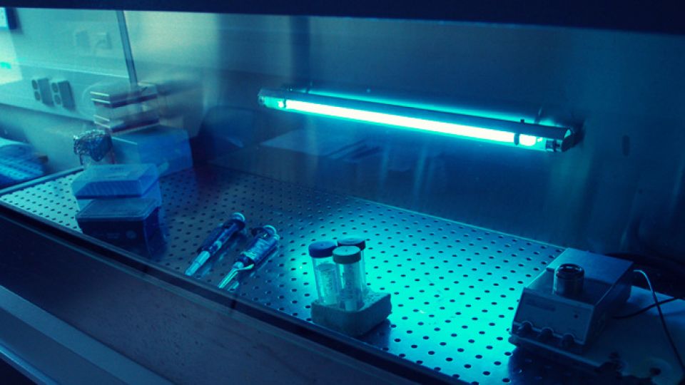 تطوير تقنية تغني عن المواد الحافظة