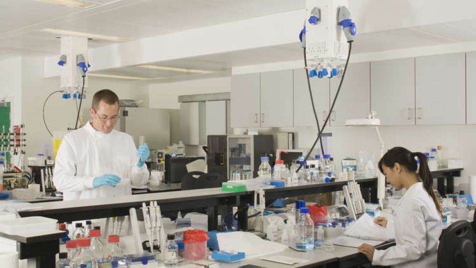 علماء سيبيريا والهند يبتكرون بلاستيكاً حيوياً غير سام