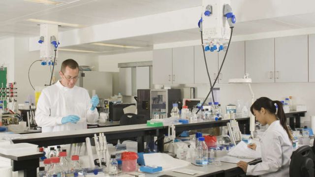 علماء سيبيريا والهند يبتكرون بلاستيكاً حيوياً غير سام