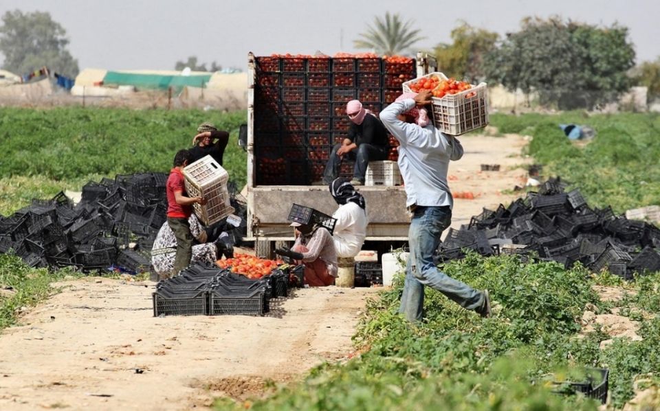 الإنتاج المحلي:  50% من الغذاء الضروري