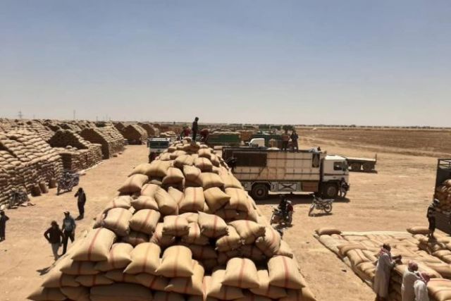 إضراب عمال العتالة في القامشلي