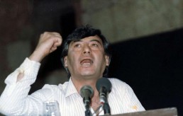 «تلويحةُ الصقر لفرخ الكوكو»