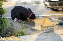 الأمريكان  يفضلونها ليبرالية!