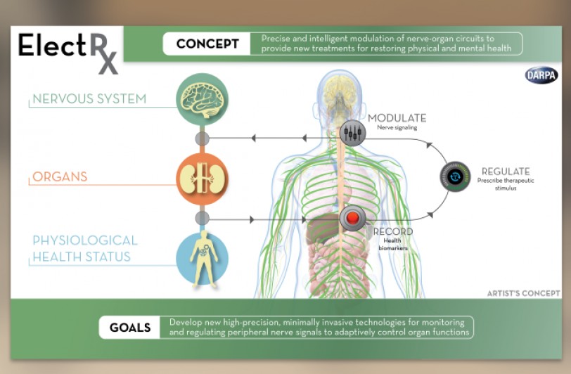 العلماء: قريباً أقراص العلاج الذاتي