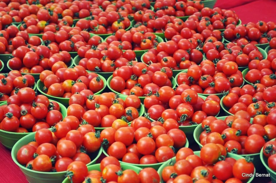 «سنبدأ في استيراد الطماطم التركي بكيمات محدودة دون إلحاق الضرر بالمنتجين الروس»