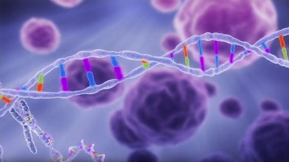 التحولات في الخلايا والشيخوخة