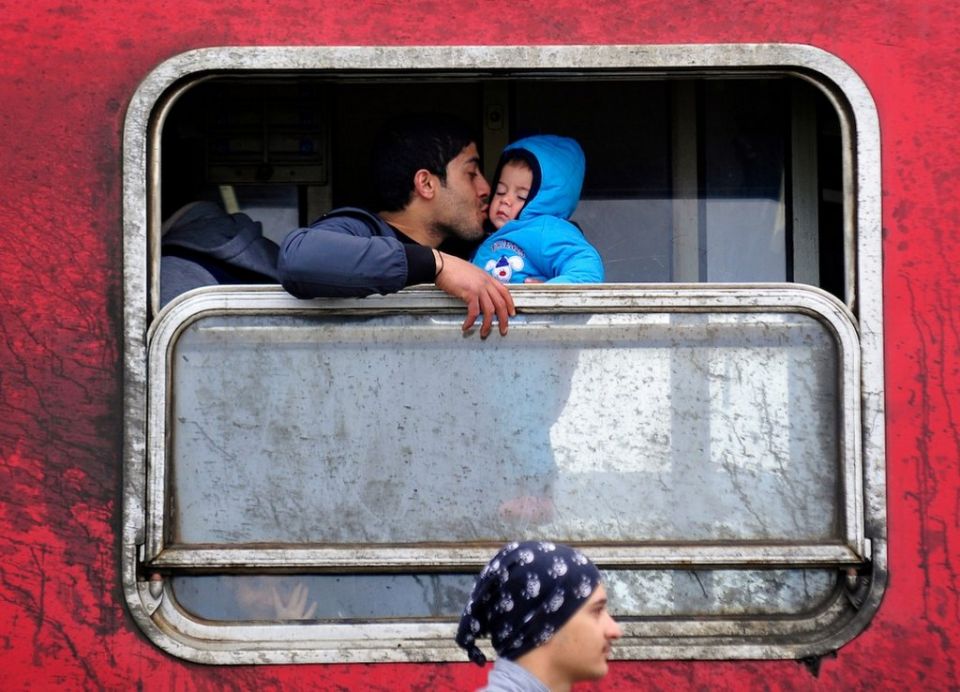 السمكة الكبيرة في الوعاء الصغير