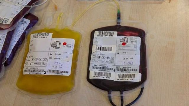 خطر استخدام «الدم» لمكافحة الشيخوخة