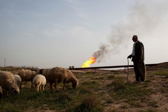 صعود الرواية الكردية وهبوطها