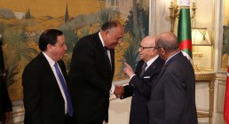 دول الجوار الليبي ترفض الحل العسكري