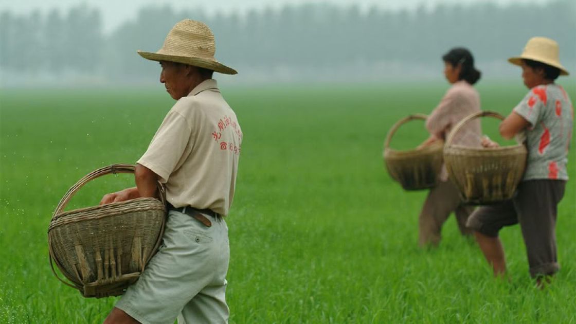 التحديث البيئي بين الرأسمالية الخضراء والحضارة البيئية... تناقضات في الفهم والتطبيق