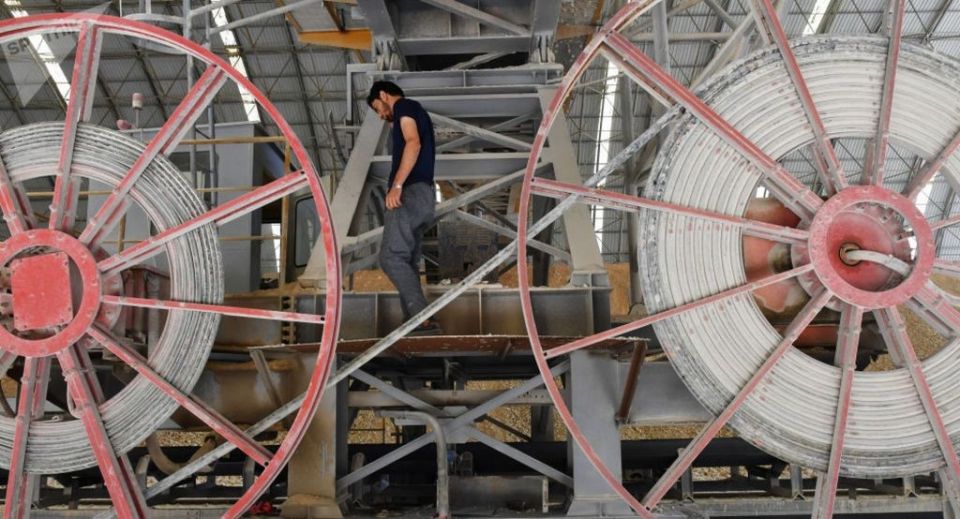 لا تضعوا العربة قبل الحصان