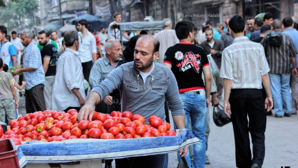 بقايا المبيدات في محصول البندورة في درعا