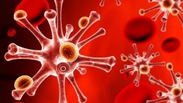 ثورة في علم المناعة !