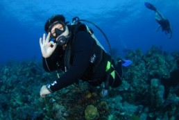 اخراع بلورة تسمح بالتنفس تحت الماء