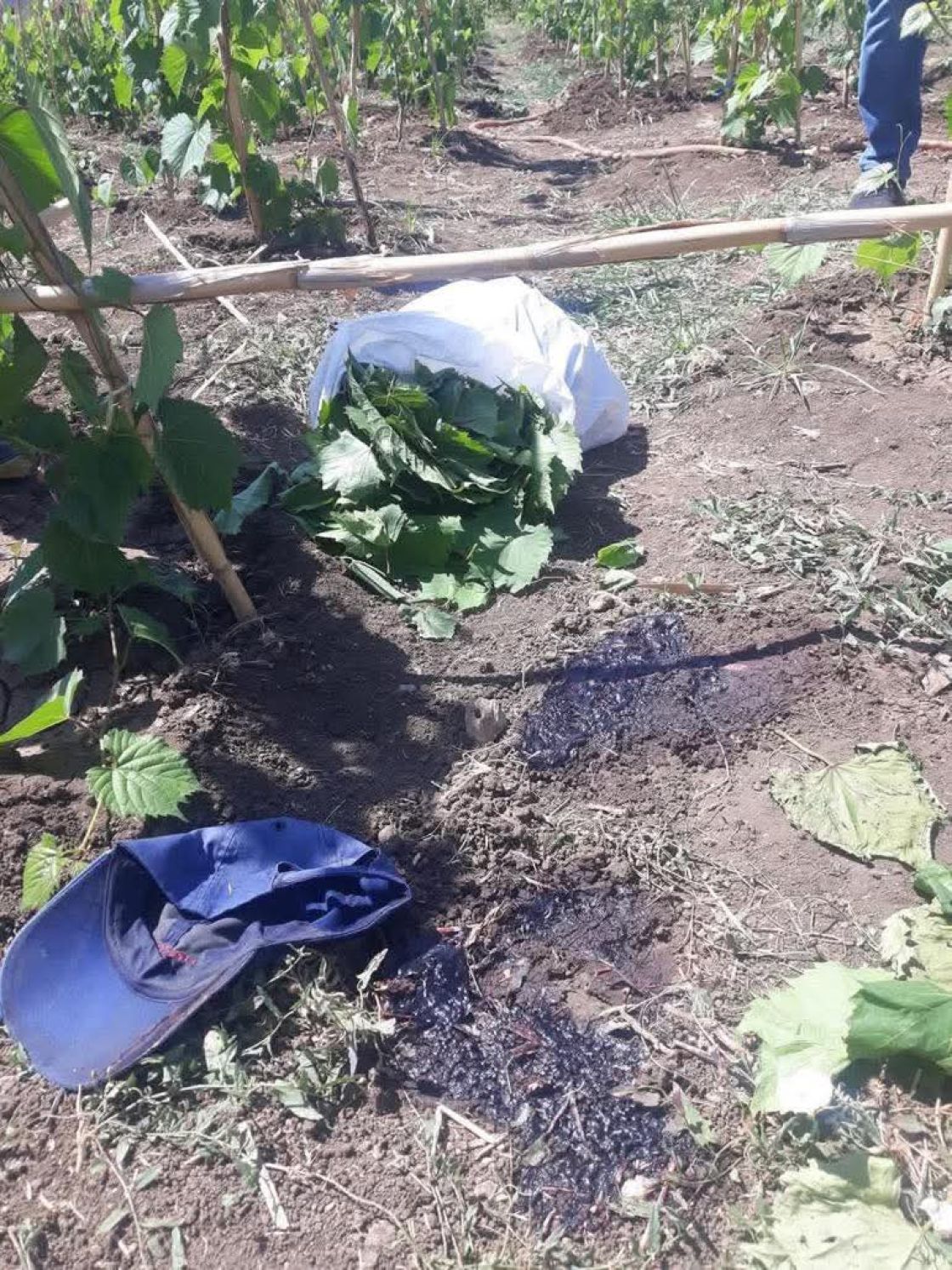 ريف اللاذقية: عنصر حاجز يرتكب جريمة قتل والوزارة تحقق معه وتعد بالمحاسبة