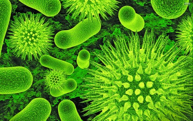 الولادة المبكرة وارتباطها بالبكتيريا