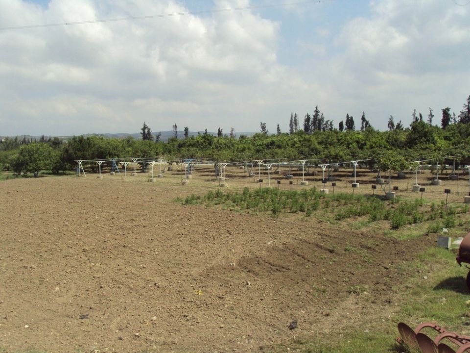 تقنية الري الحديث في الحسكة