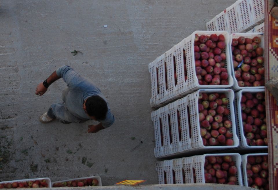 تنمية المنطقة الجنوبية.. بلا عمال!