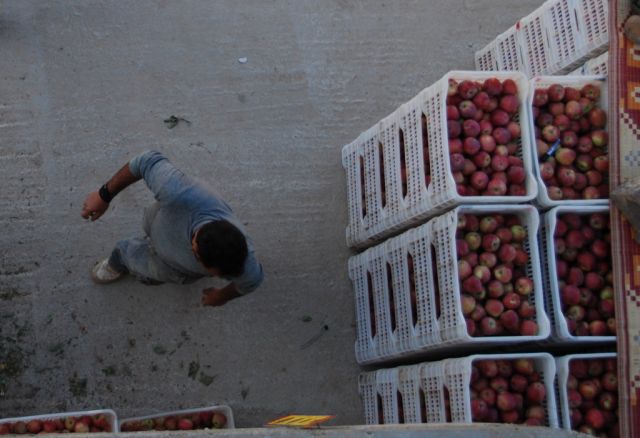 تنمية المنطقة الجنوبية.. بلا عمال!