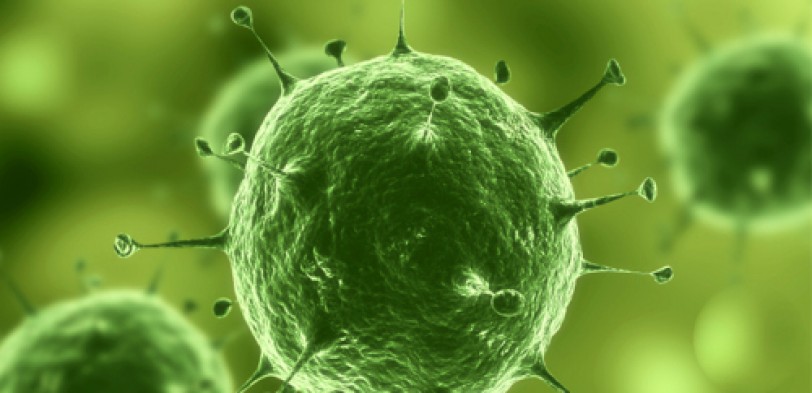 دراسة: 320  ألف فيروس جديد يهدد البشرية