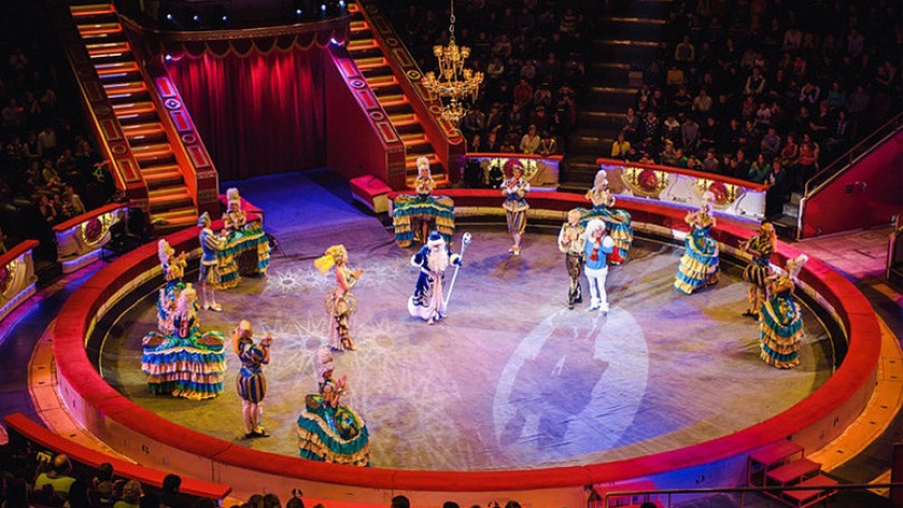 المطالبة بضم فن السيرك الى قائمة اليونيسكو للتراث الثقافي