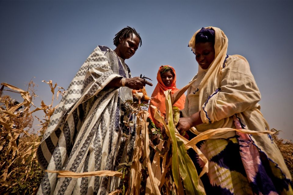 مجنون عَلْيا